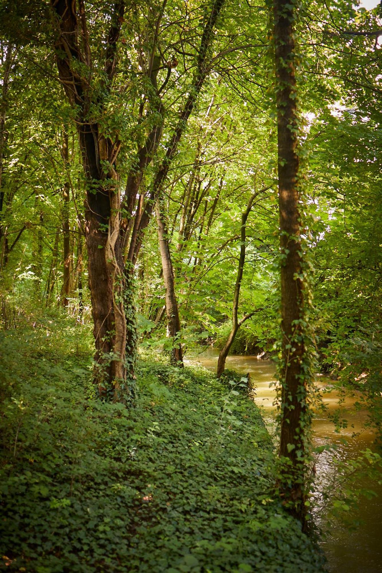 Gaestehaus Englischer Garten München Buitenkant foto